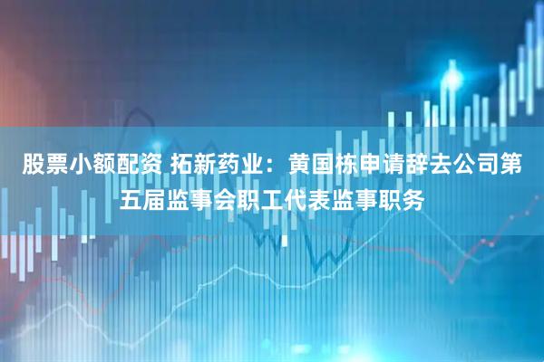 股票小额配资 拓新药业：黄国栋申请辞去公司第五届监事会职工代表监事职务