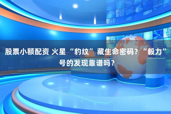 股票小额配资 火星 “豹纹” 藏生命密码？“毅力” 号的发现靠谱吗？