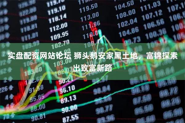 实盘配资网站论坛 狮头鹅安家黑土地，富锦探索出致富新路