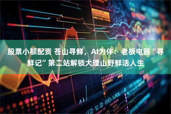 股票小额配资 苍山寻鲜，AI为伴：老板电器“寻鲜记”第二站解锁大理山野鲜活人生