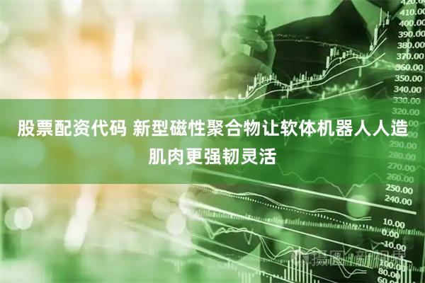 股票配资代码 新型磁性聚合物让软体机器人人造肌肉更强韧灵活