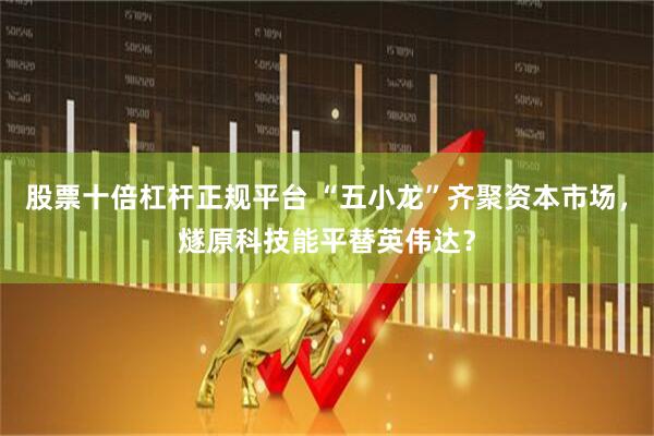 股票十倍杠杆正规平台 “五小龙”齐聚资本市场，燧原科技能平替英伟达？