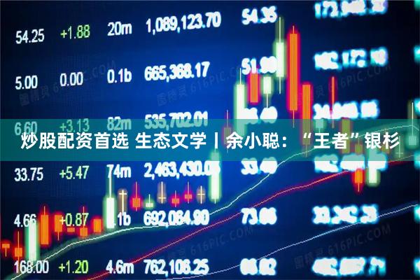 炒股配资首选 生态文学丨余小聪：“王者”银杉