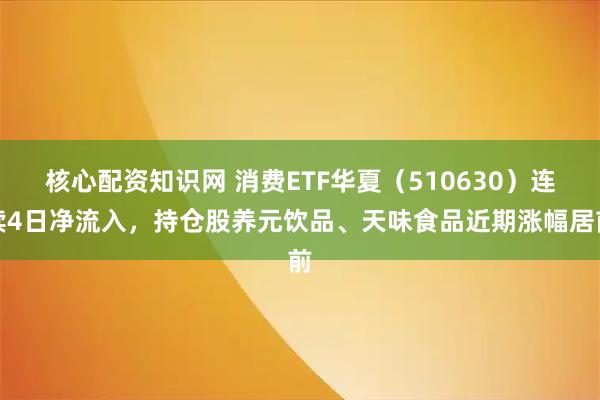 核心配资知识网 消费ETF华夏（510630）连续4日净流入，持仓股养元饮品、天味食品近期涨幅居前