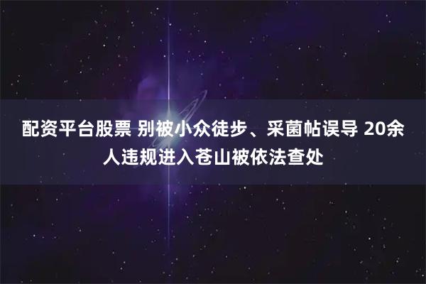 配资平台股票 别被小众徒步、采菌帖误导 20余人违规进入苍山被依法查处